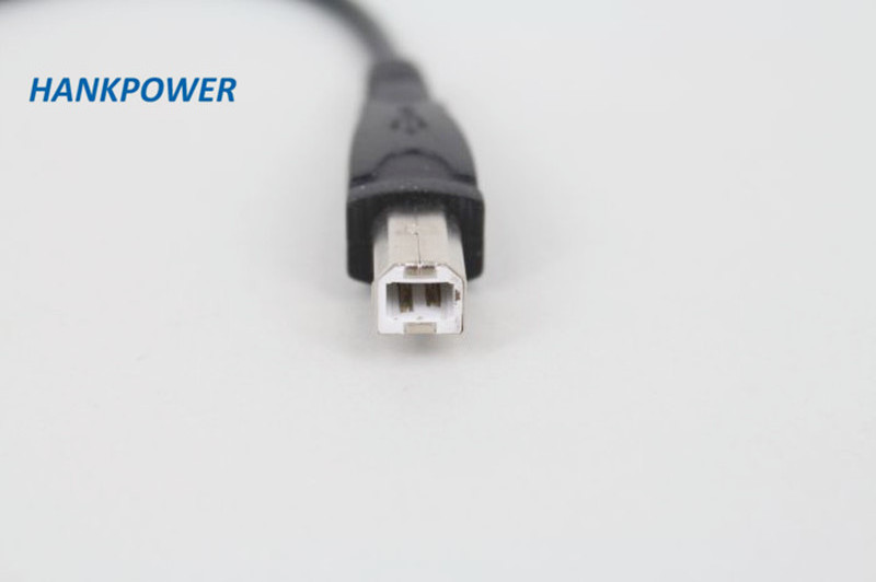 Factory Customized USB A Female to USB B Male data cable Printer scanner hard disk convert  USB B Male data cable