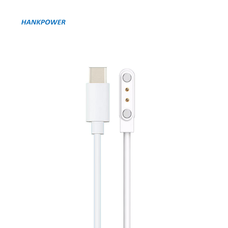 New Product USB Type C Male to 2 Pin Pogo Power Charger Cable Magnetic Charger Cable Smart Watch Charger Pin