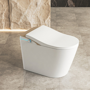 Intelligent Smart Toilet White Wc Ceramic Gold Cover UV Sterilized Stainless Steel Brushed Bidet