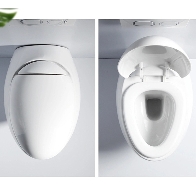 Conceal Wall Mounting Hang Wc Toilet Ceramic Water Closet Commode With Flush Valve