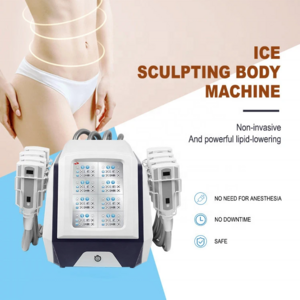 Big Discount Body Contouring Cellulite Reduction 360 Cryo Fat Freezing Slimming Machine For Sale