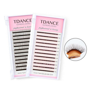 Wispy Spiked Promade Extension Spike Lash Trays With Decals