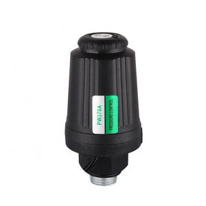 Mini Automatic Adjustment Water Pump Pressure Switch