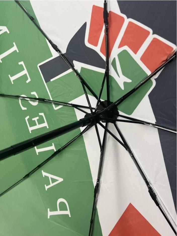 Nuoxin Custom 21 Inch 190T Pongee Fabric Waterproof  Folding Umbrella With Palestine Flag