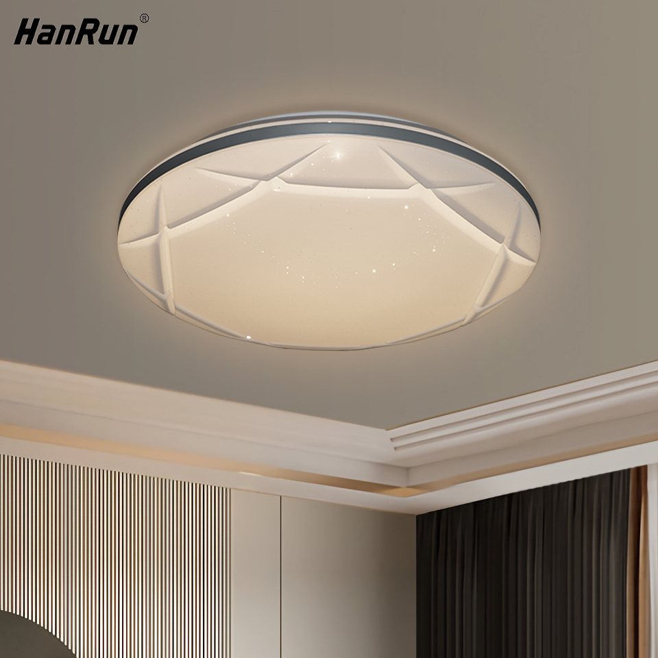 Dimmable Kitchen Hallway Bedroom Indoor Lamp Fixture Decoration Acrylic Round Flush Mount Remote Modern Led Ceiling Lights