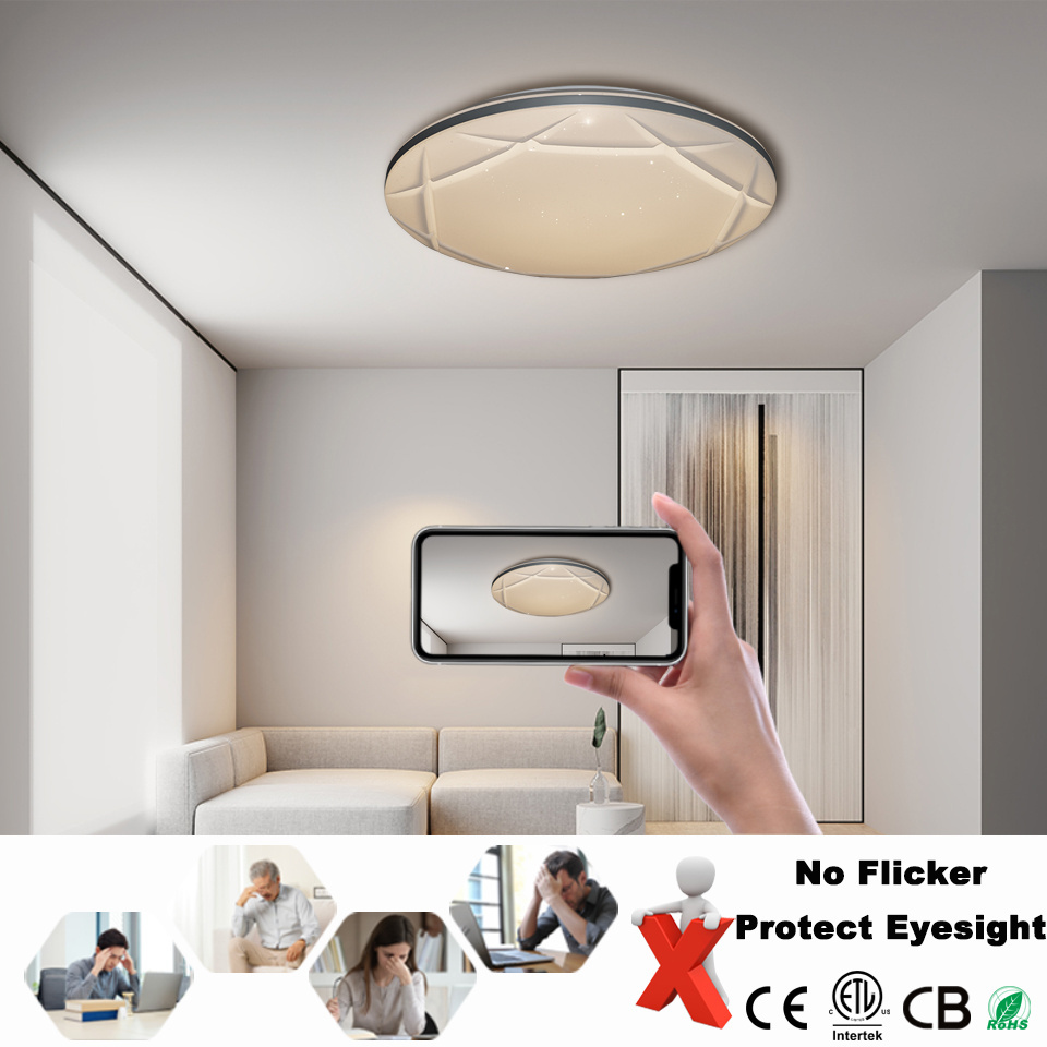 Dimmable Kitchen Hallway Bedroom Indoor Lamp Fixture Decoration Acrylic Round Flush Mount Remote Modern Led Ceiling Lights