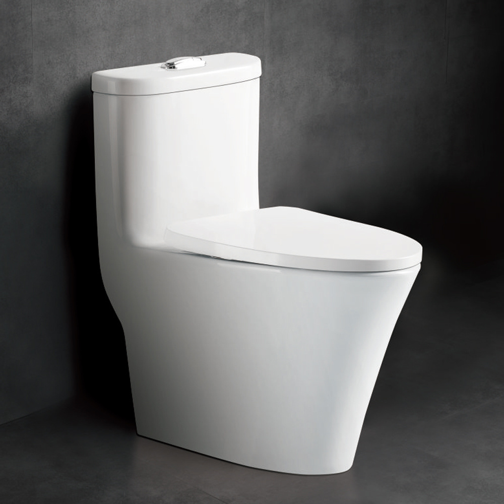 types of western style Nepal Pakistan Japanese toilet ceramic in Nigeria