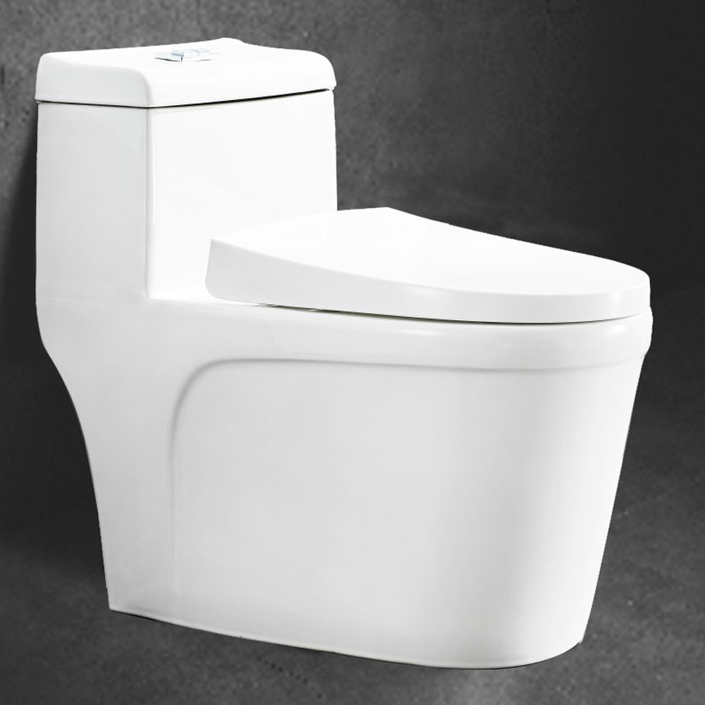 types of western style Nepal Pakistan Japanese toilet ceramic in Nigeria