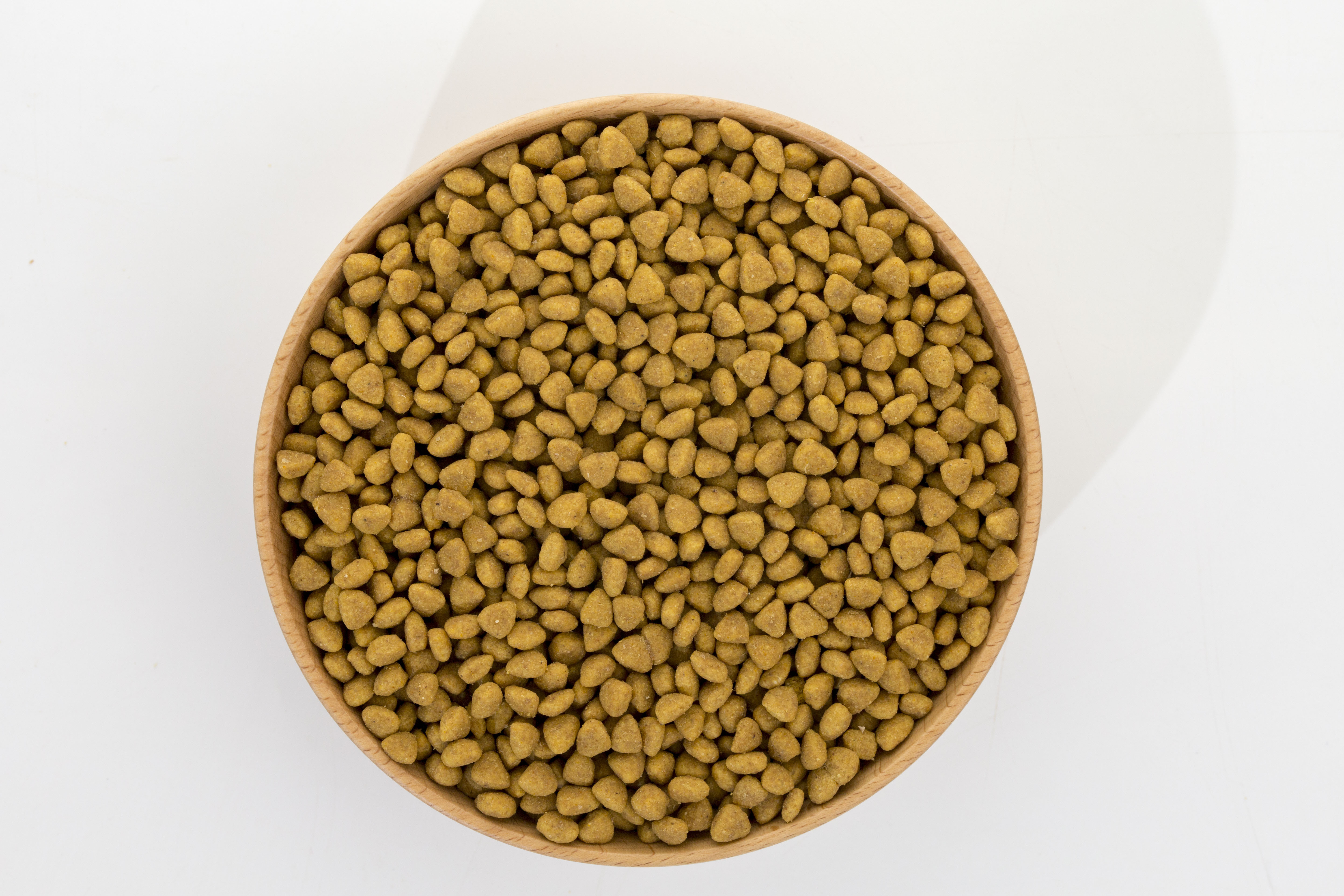 OEM Cat Food Factory Exports 10KG Natural Raw Fish Flavors Fish Shapes All Age Cat Food