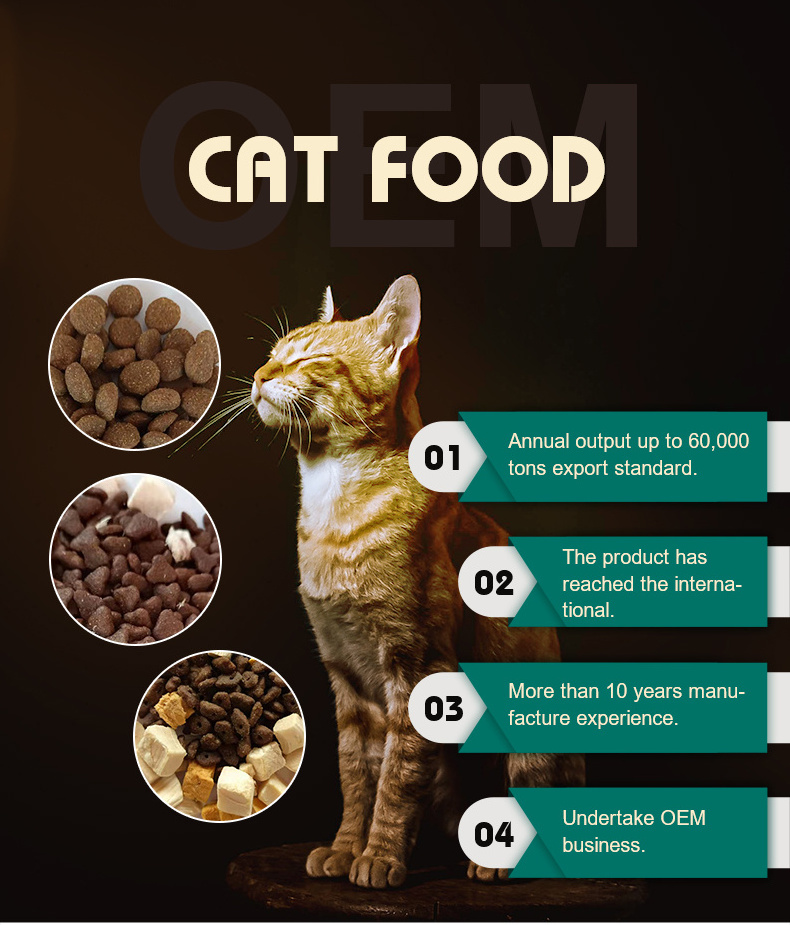 OEM  Factory Exports Cat Food Star Shapes 10KG Natural Raw Chicken Flavors  All Age Pet Cat Dry Food