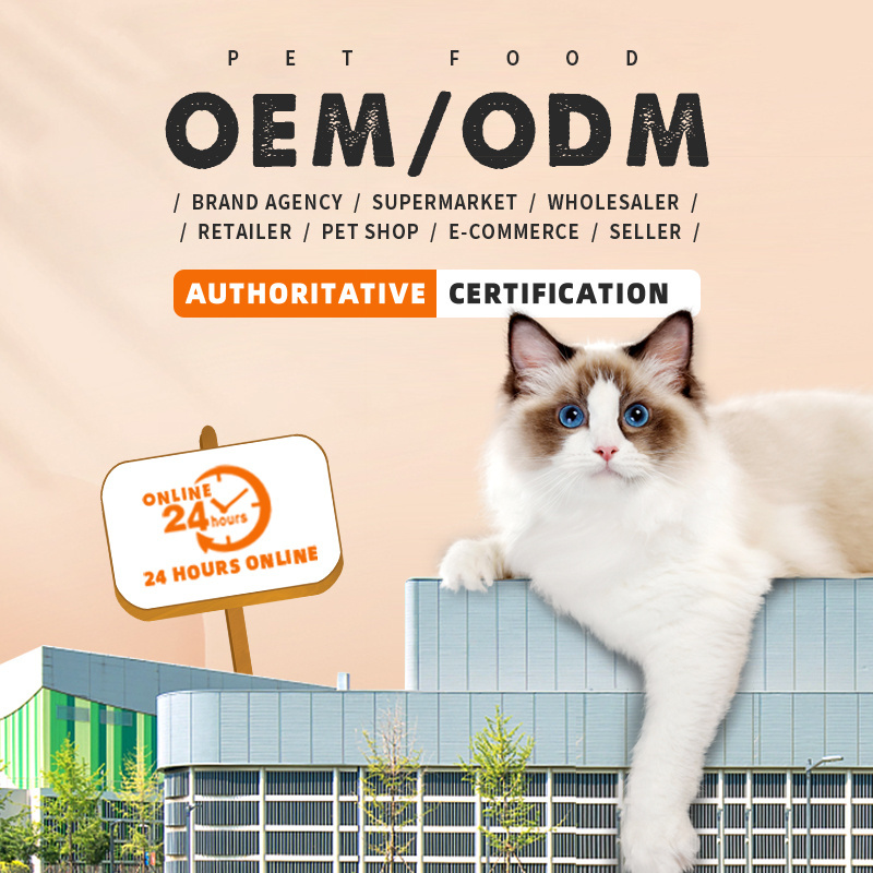 OEM ODM Cats Crispy Bite Snack Wholesale Bulk Tuna Salmon Chicken Dry Food For Cat