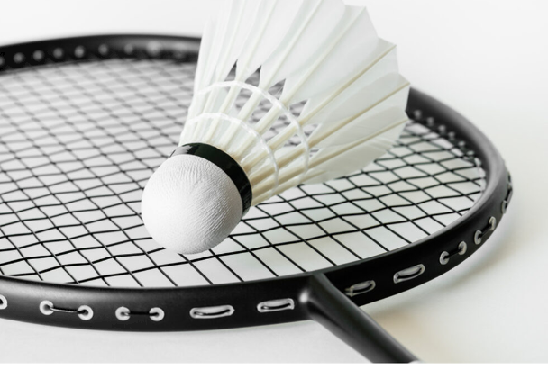 wholesale prices top quality badminton set of 2 player badminton rackets with shuttlecock manufacture in india