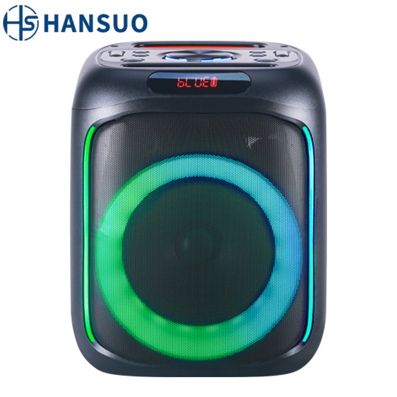 HANSUO Doble 6.5 inch  High-quality portable speaker Factory Party box DJ Bass Outdoor Waterproof subwoofer speaker HS-TS06C6B