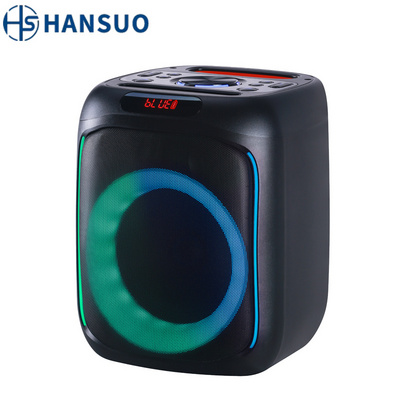 HANSUO Doble 6.5 inch  High-quality portable speaker Factory Party box DJ Bass Outdoor Waterproof subwoofer speaker HS-TS06C6B