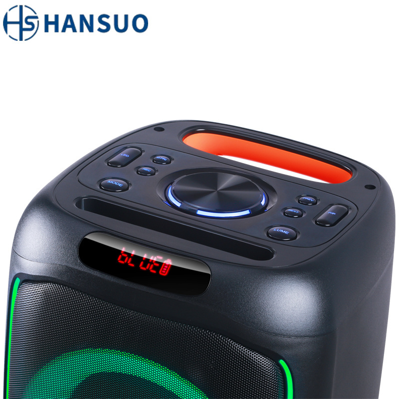 HANSUO Doble 6.5 inch  High-quality portable speaker Factory Party box DJ Bass Outdoor Waterproof subwoofer speaker HS-TS06C6B