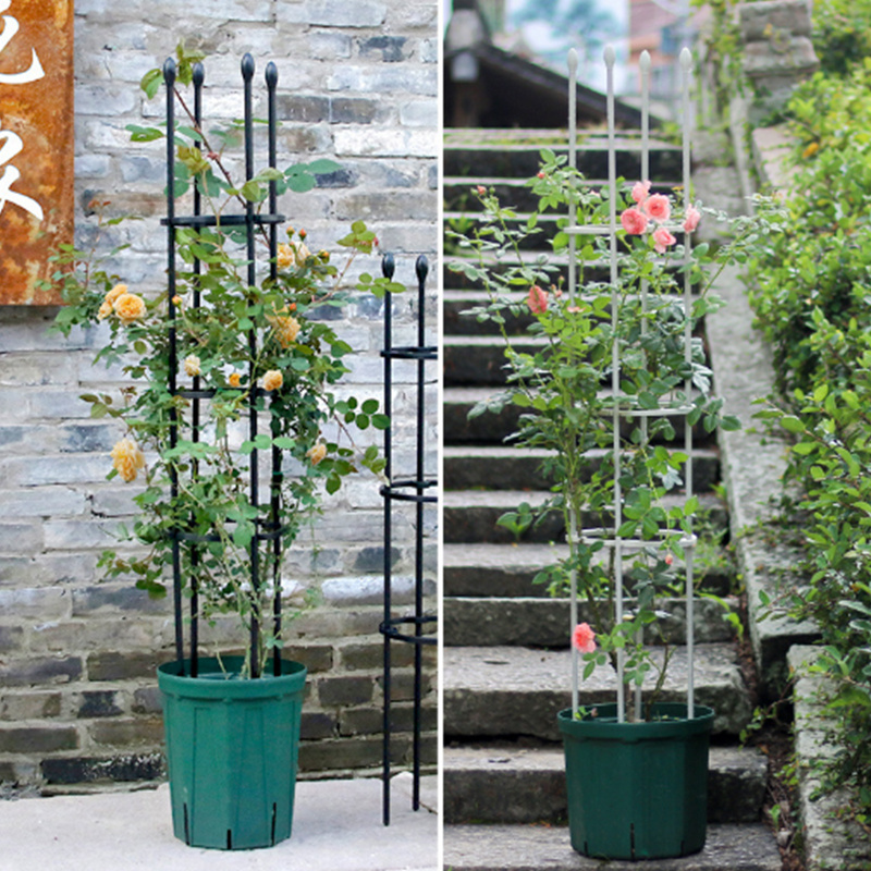 heavy duty galvanized steel, tomato cage Plastic tomato plant cage Conical Trellis Climbing Plant Supporter Frame/