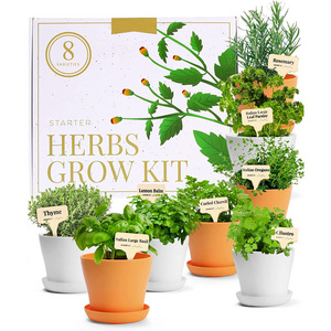 Herb Garden Kit Unique Gardening Gifts for Women 8 Variety Culinary Herb Garden Kit Indoor & Outdoor