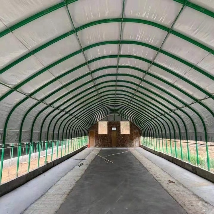 Low cost greenhouse shed, livestock shelter steel prefab cow shed prefabricated pig house For Sale Chicken Coop Chicken Coop Use