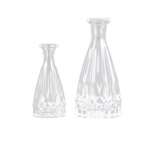 wholesale 100ml transparent no-fire, glass car aromatherapy bottle small fresh dry vase hydroponic table decoration/