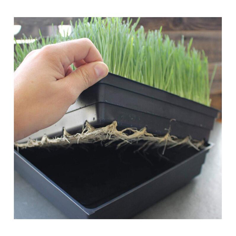 50 Cell Plastic Seed, Seedling Trays Germination Nursery Plug Tray plastic seed tray for garden greenhouse Vegetables Nursery/