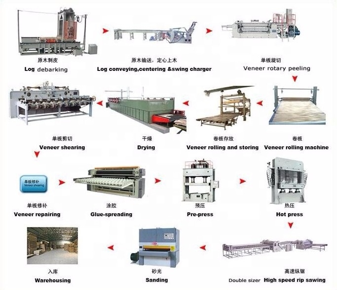 Top level China plywood production line