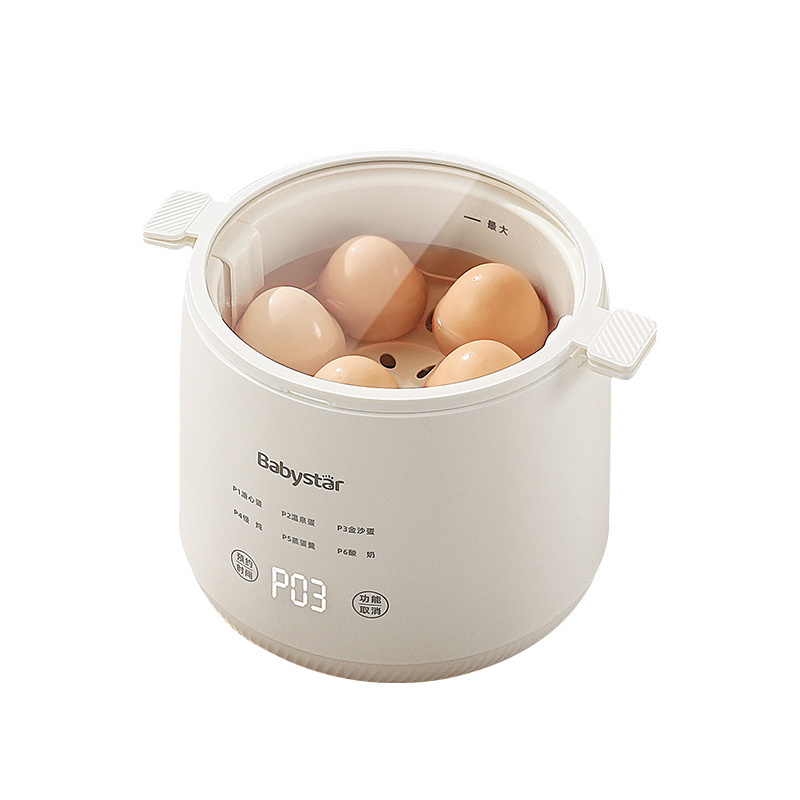 It holds six egg cooker electric egg cooking boil Stainless steel with timing device omelette maker