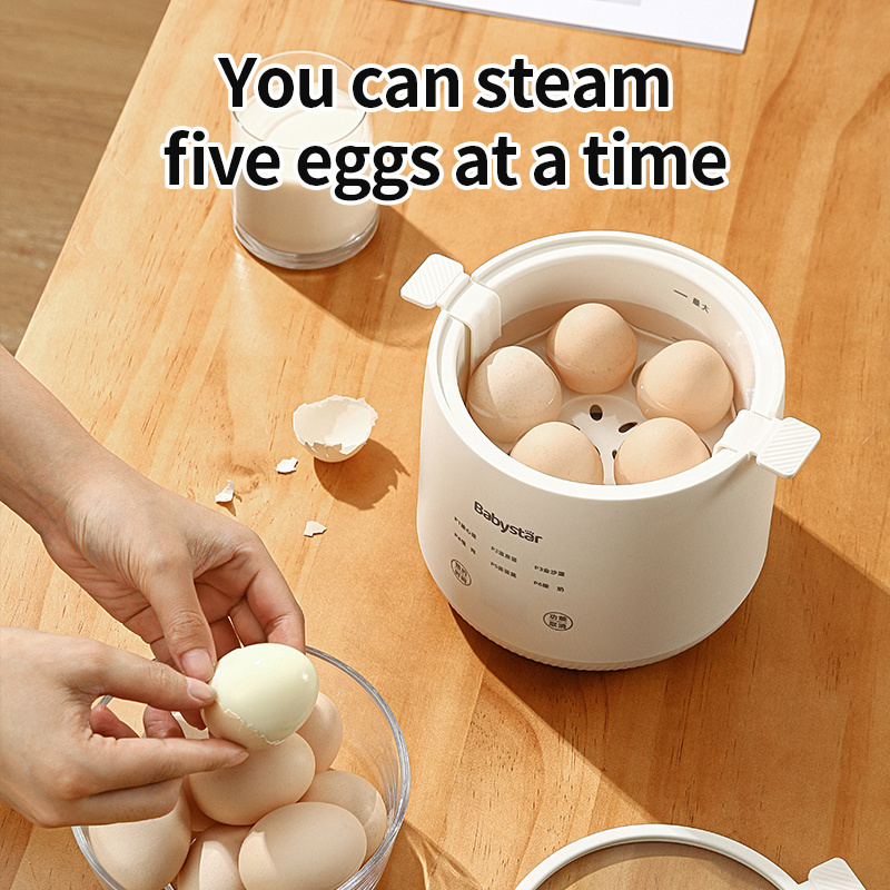 It holds six egg cooker electric egg cooking boil Stainless steel with timing device omelette maker