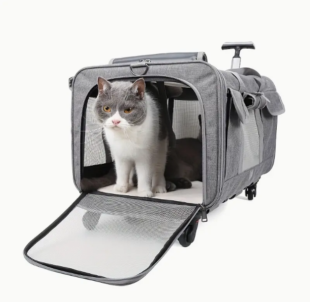 Outgoing cat bag pull rod dog pet bag foldable cat pet box breathable crossbody pet suitcase