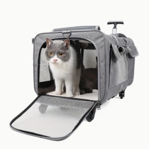 Outgoing cat bag pull rod dog pet bag foldable cat pet box breathable crossbody pet suitcase