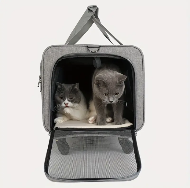 Outgoing cat bag pull rod dog pet bag foldable cat pet box breathable crossbody pet suitcase