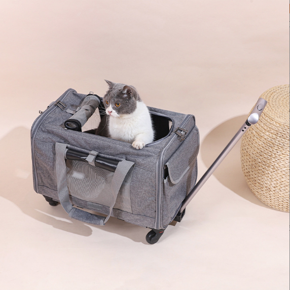 Outgoing cat bag pull rod dog pet bag foldable cat pet box breathable crossbody pet suitcase