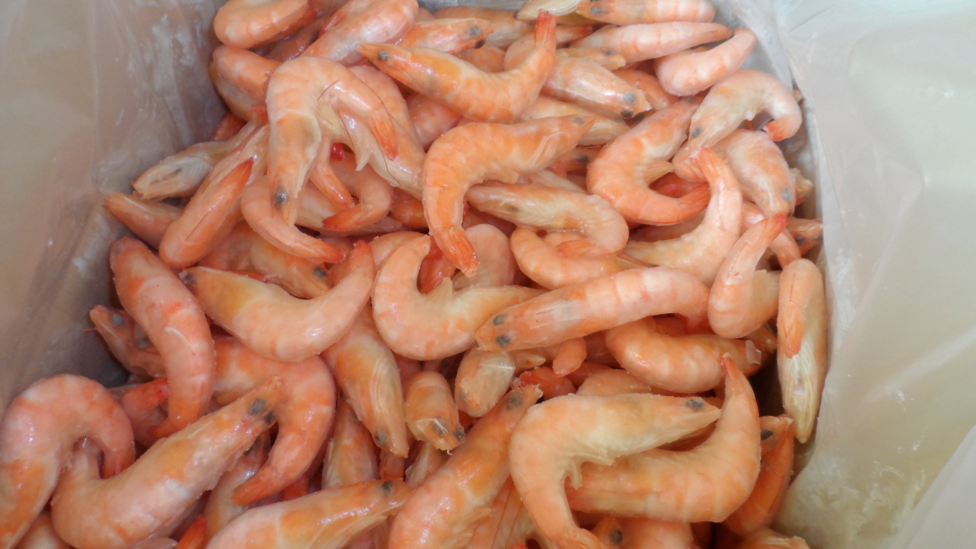 China Supplier Wholesale Premium Seafood Frozen Cooked Vannamei Shrimp