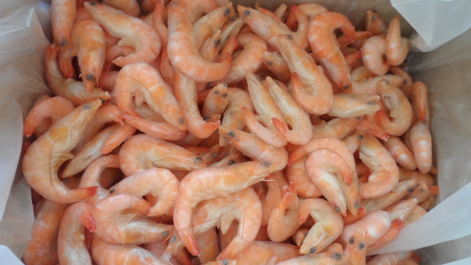 China Supplier Wholesale Premium Seafood Frozen Cooked Vannamei Shrimp