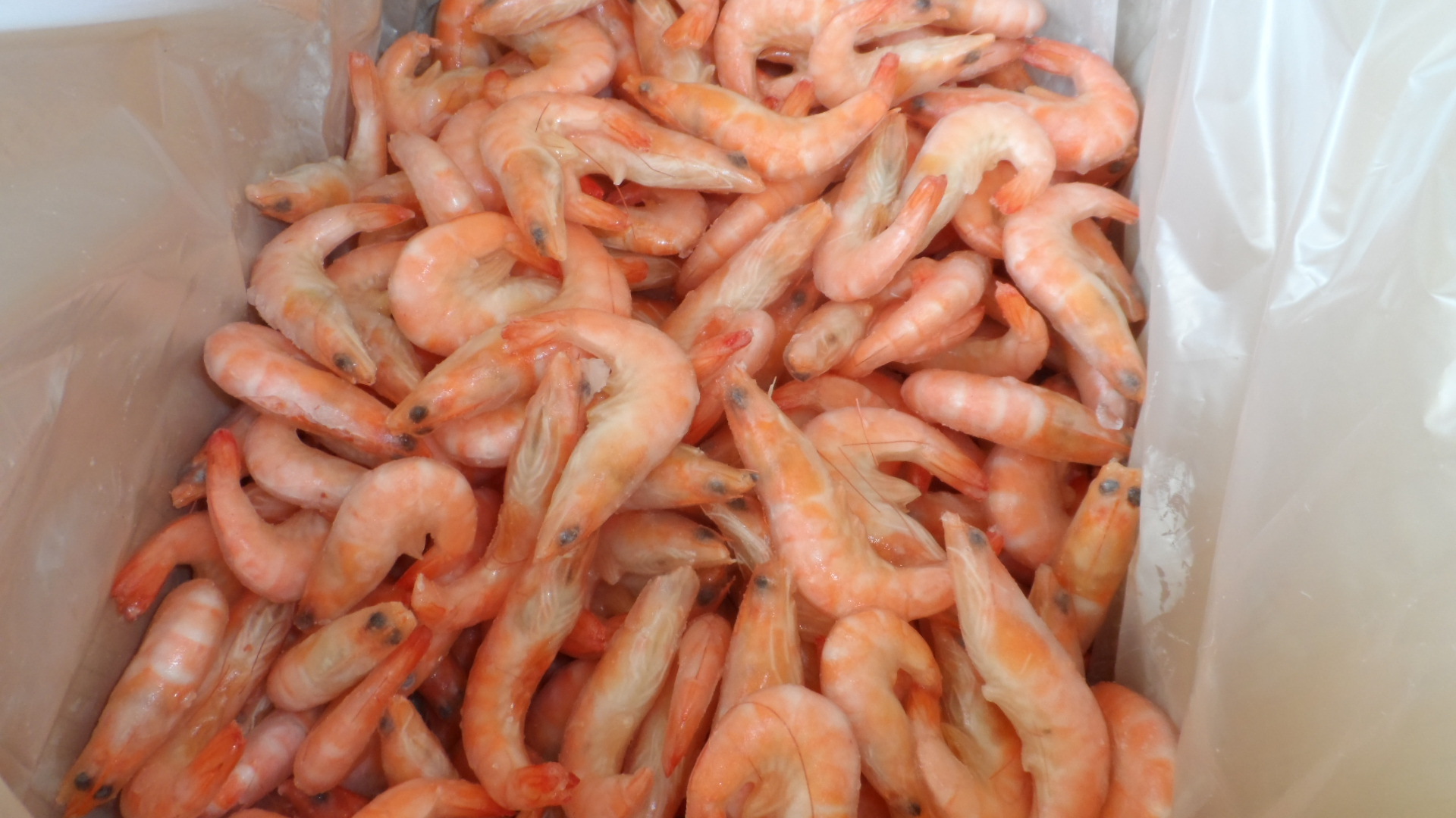 China Supplier Wholesale Premium Seafood Frozen Cooked Vannamei Shrimp