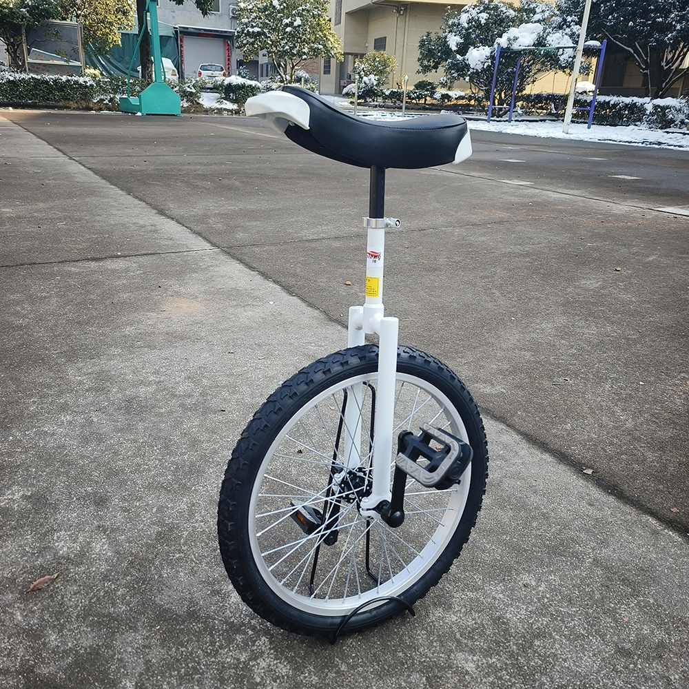 unicycle 20