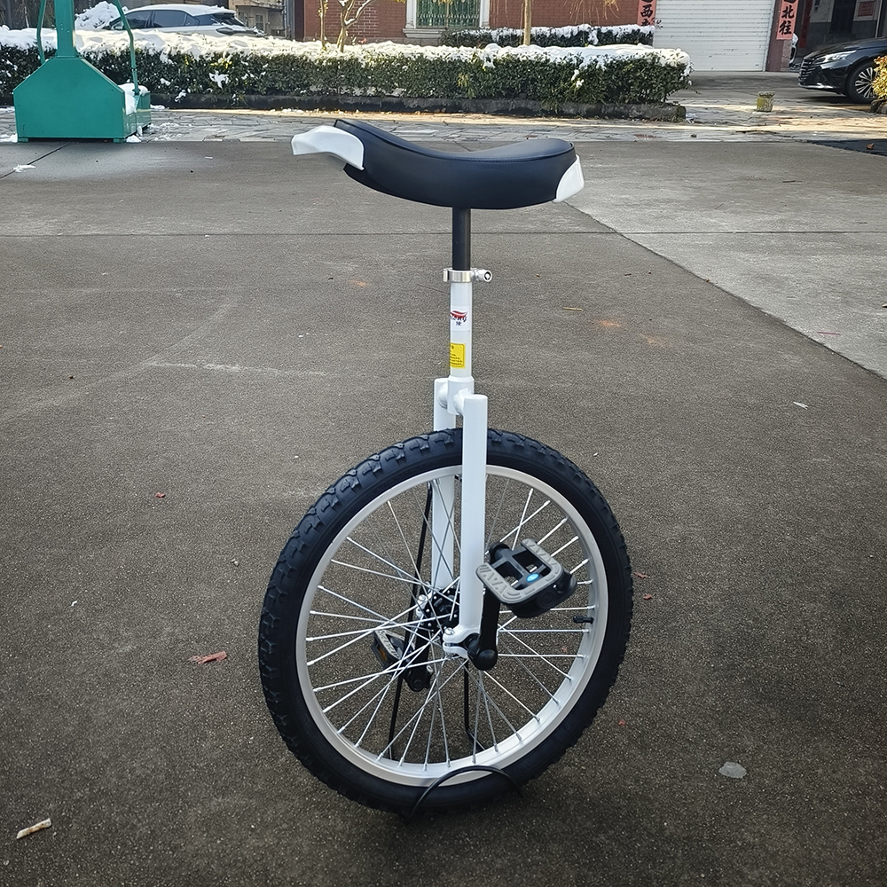 unicycle 20