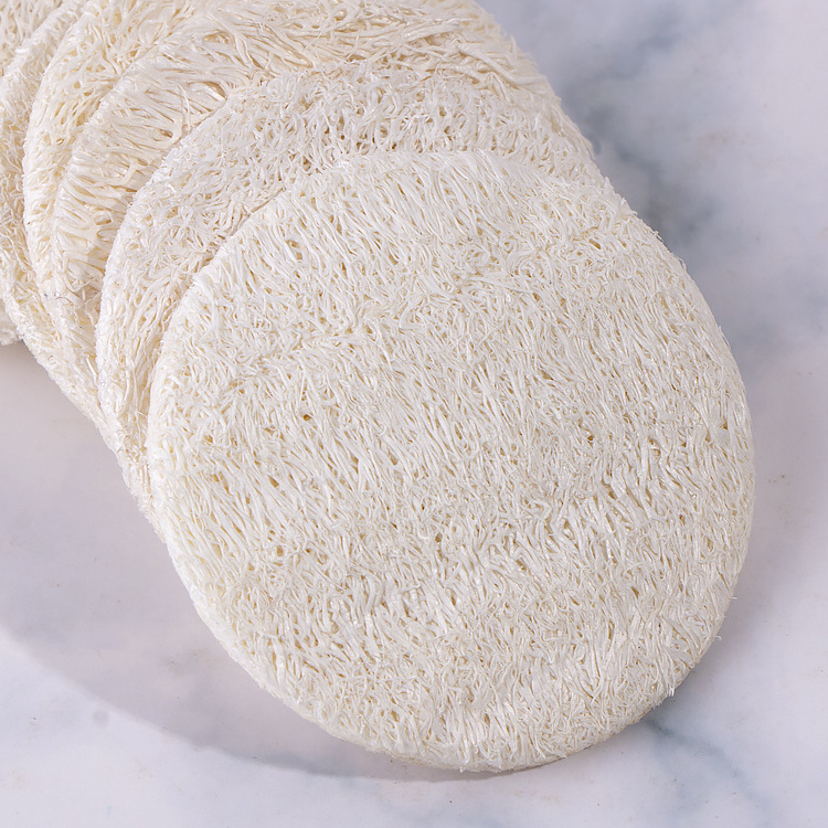 Physical Compression Biodegradable Natural Organic Sponges Loofah