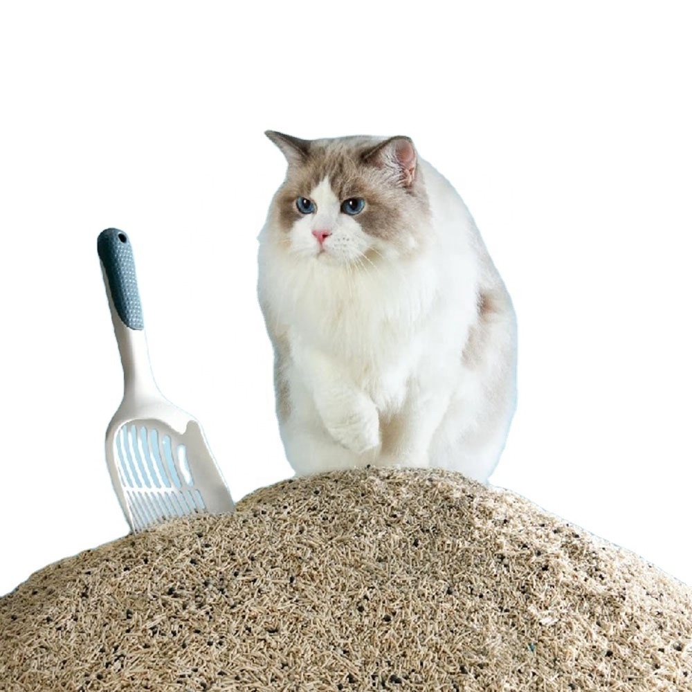 Cat litter fragrance best cat litter for odor control best clean bentonite tofu cat litter