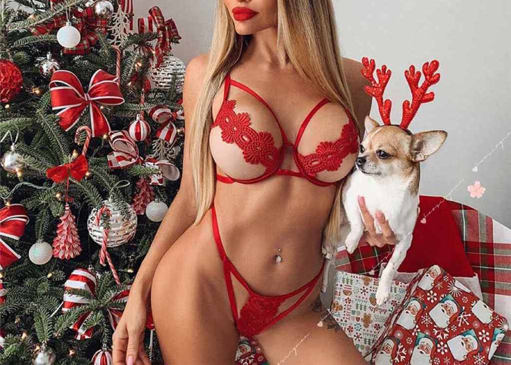 Fashion lace bra thong sexy women's hollowed out embroidery transparent Christmas women's sexy lingerie set