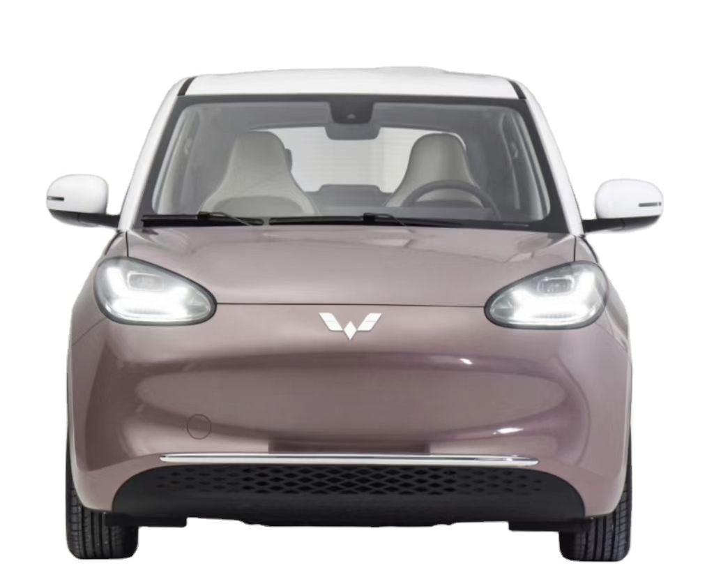 The Wulingbingo  New energy  Electric car for adults