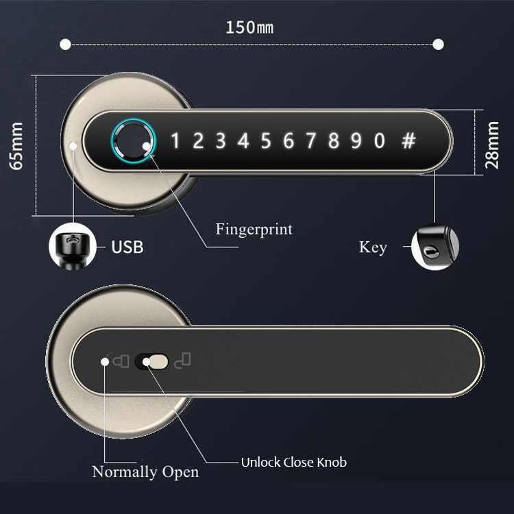 Modern Simple Entrance Door Password Smart Locks Fingerprint Combination Door Locks App Remote Smart Lock