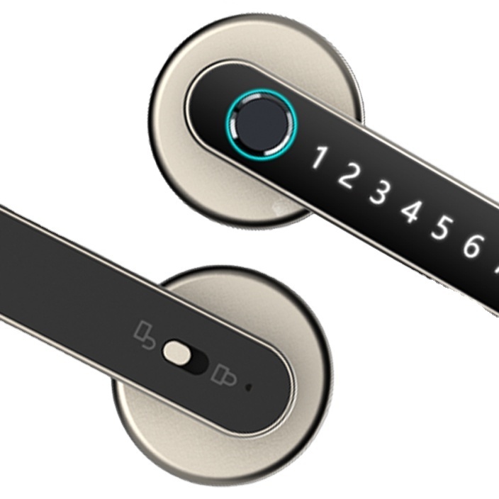 Modern Simple Entrance Door Password Smart Locks Fingerprint Combination Door Locks App Remote Smart Lock