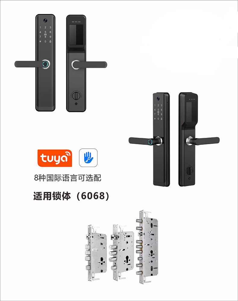 Digital Camera Wifi Smart Fingerprint Push Pull Electronic Double Main Door Lock With Support Development Cat's Eye