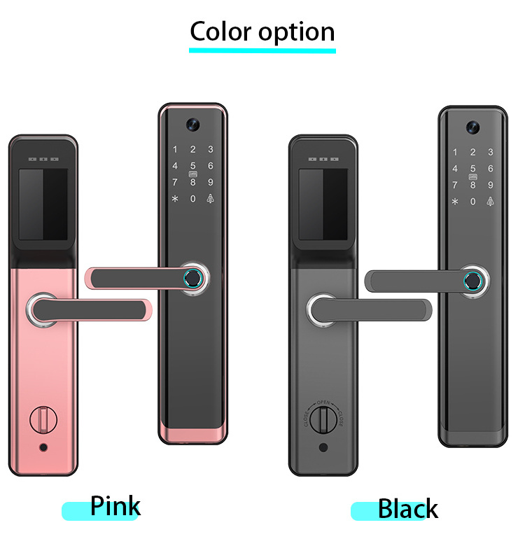 Digital Camera Wifi Smart Fingerprint Push Pull Electronic Double Main Door Lock With Support Development Cat's Eye