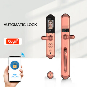 wooden door ro gate luxury villa smart door lock front door villa security locks wireless camera smart lock with APP