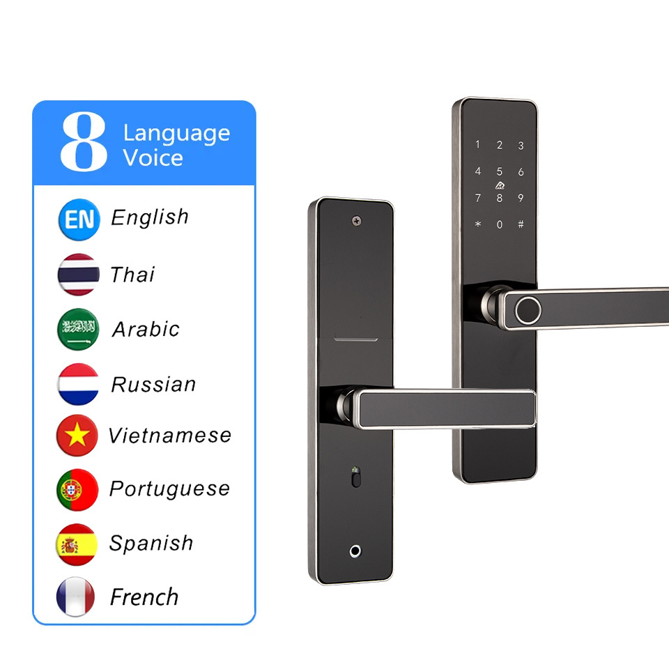 Wholesales Stainless Steel Tuya wifi TTlock Smart Digital Fingerprint Door Lock For Room Apartment School