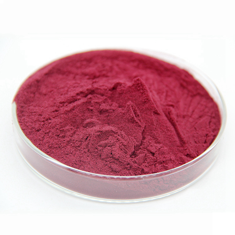 Wild cherry berry powder 99% Aronia berry juice powder food supply aronia melanocarpa  fruit powder spray drying