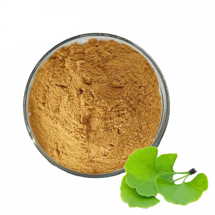 Factory bulk Water Soluble Ginkgo Biloba leaf Extract capsule