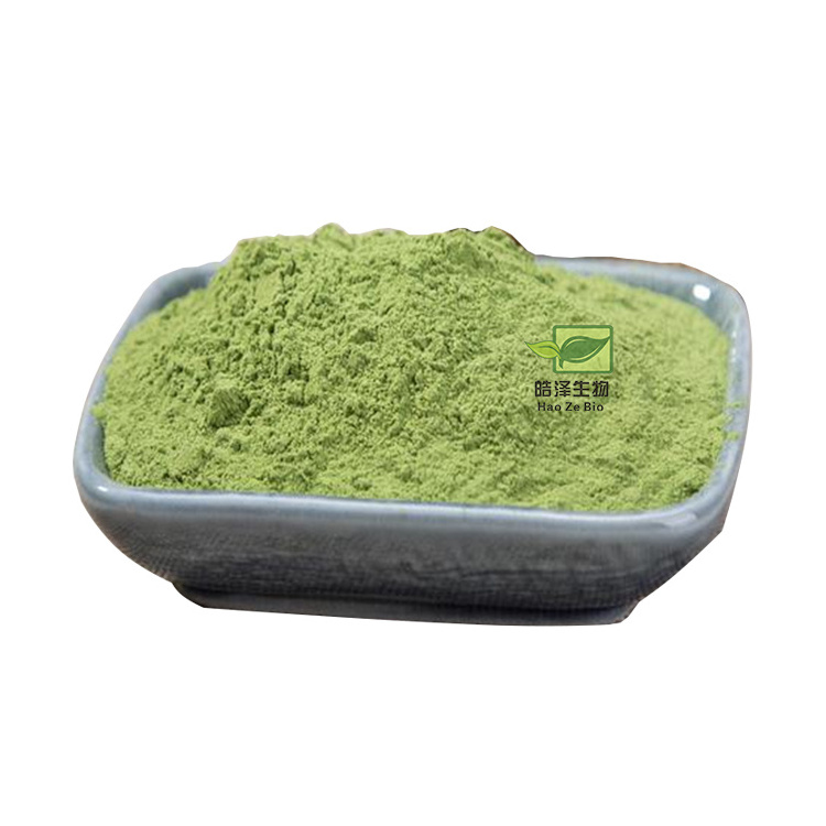 Nature organic spinach extract dehydrated spinach dried spinach powder 80 mesh