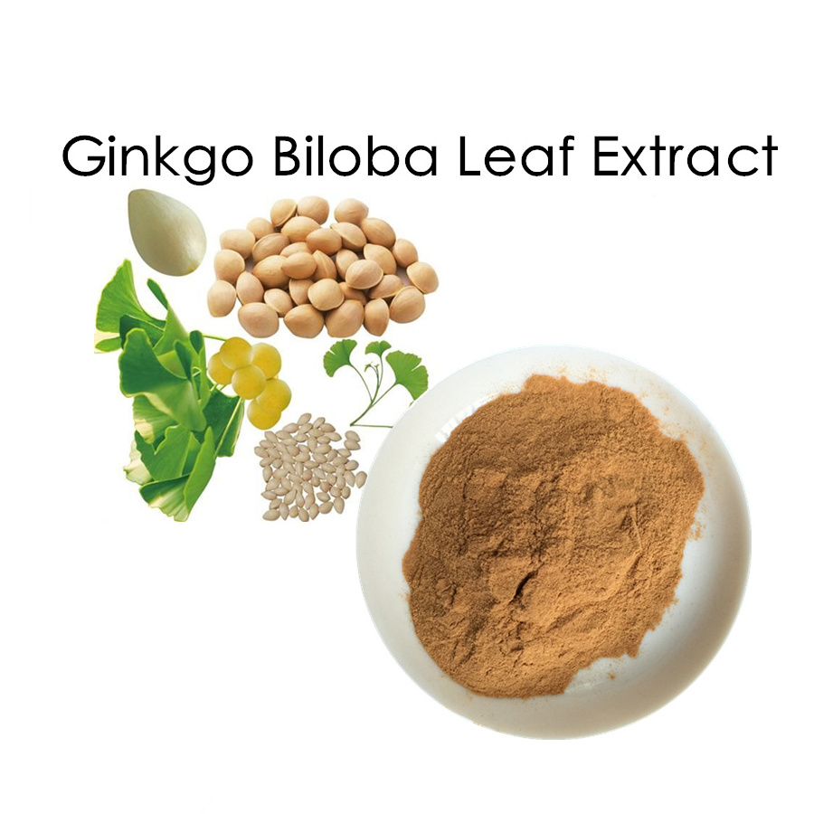 Factory bulk Water Soluble Ginkgo Biloba leaf Extract capsule